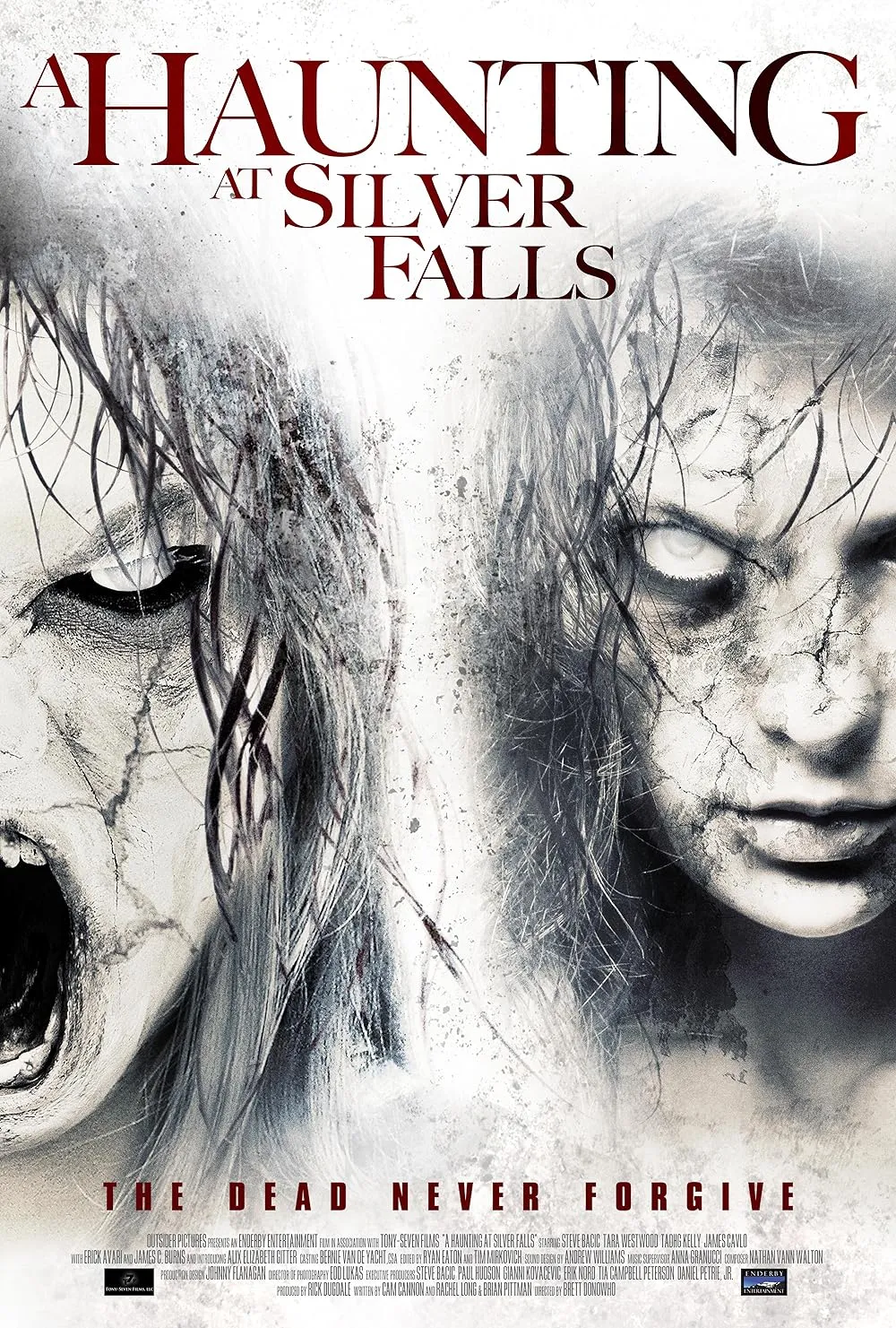 دانلود فیلم تسخیر در آبشارهای نقره ای A Haunting at Silver Falls 2013 MV5BMTQ4NzcyODQ4OV5BMl5BanBnXkFtZTcwOTkxMzcyOQ@@. V1 FMjpg UX1000  11zon