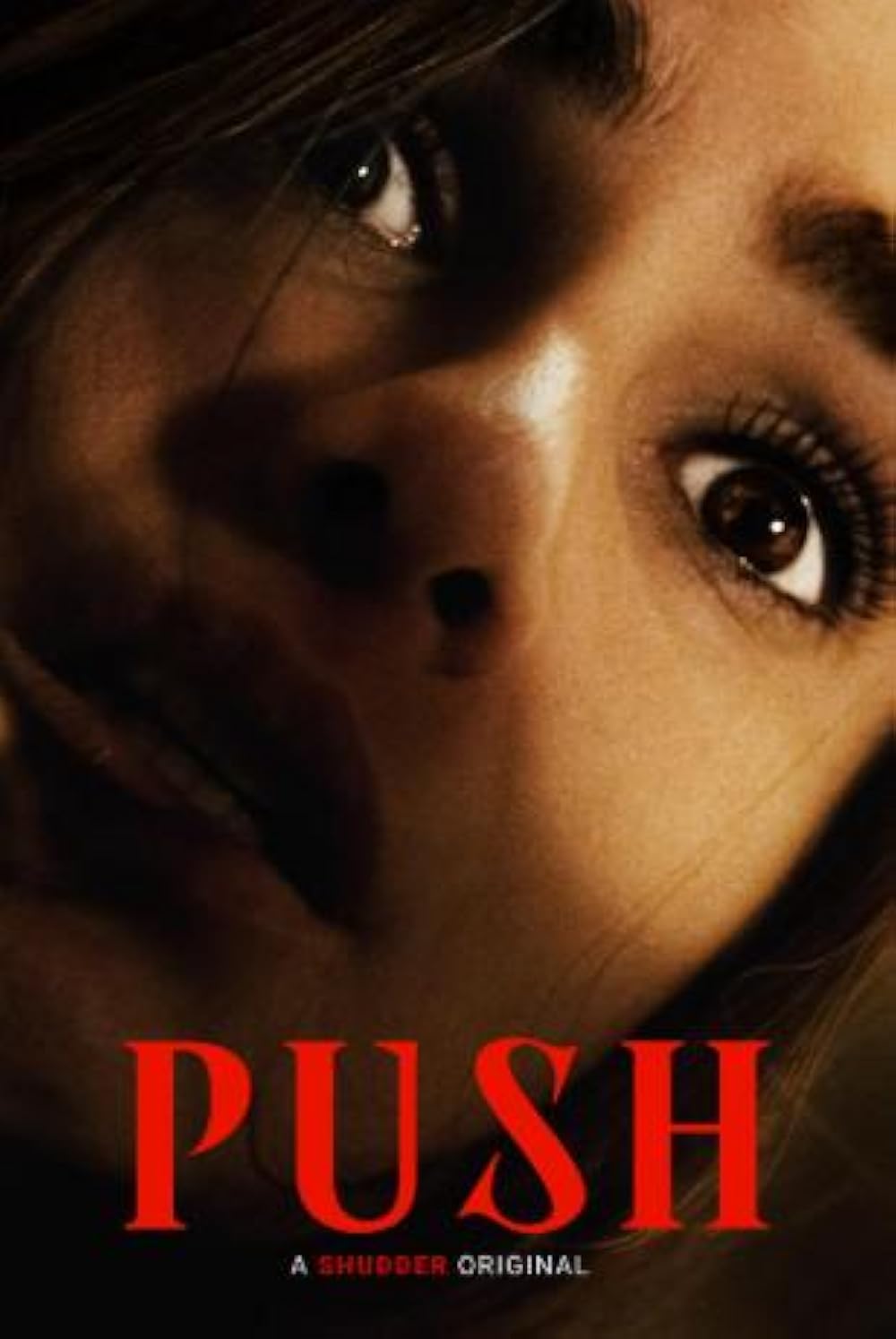 دانلود فیلم فشار Push 2024 MV5BMTNhYWRiZTktYjc1NS00Yjk1LThkOTEtZDFlZmFmZGI5YmFhXkEyXkFqcGc@. V1 FMjpg UX1000